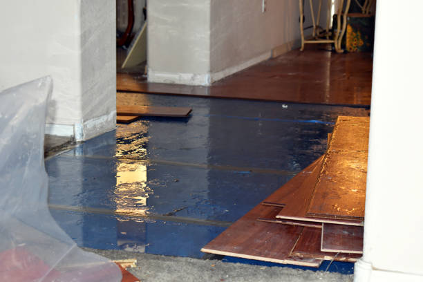 Professional Basement Water Removal technician working in Red Rock, TX