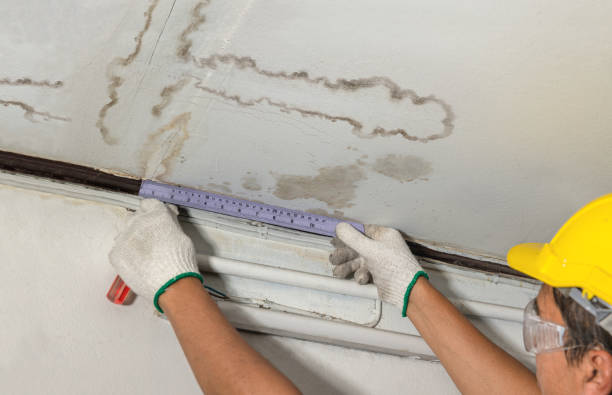 Reliable Basement Water Removal contractor in Red Rock, TX by Water Damage Irwin